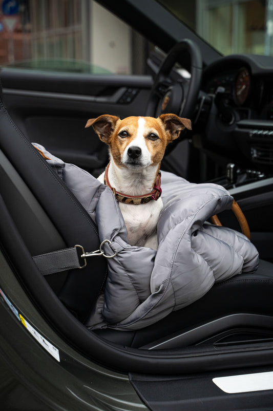 Welche Hundetasche passt zu dir? Der große Flying Dog Vergleich