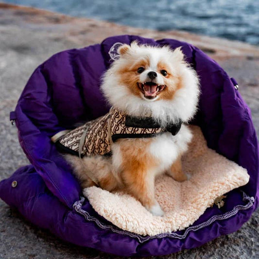 Reisen mit Hund: Die 7 Must-Haves für entspannte Trips mit Vierbeiner