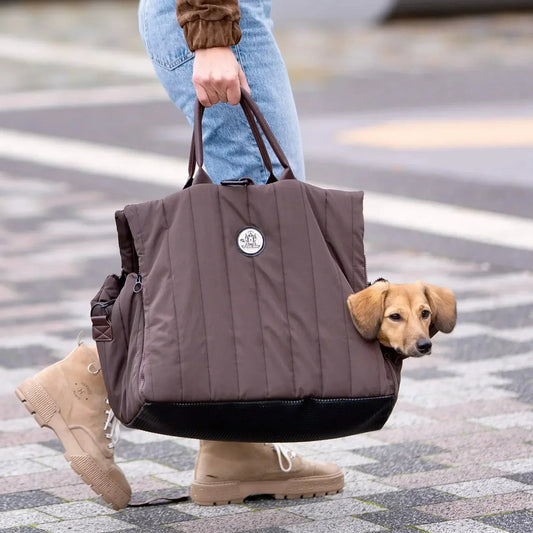 Hundetasche für kleine Hunde von Flying Dog