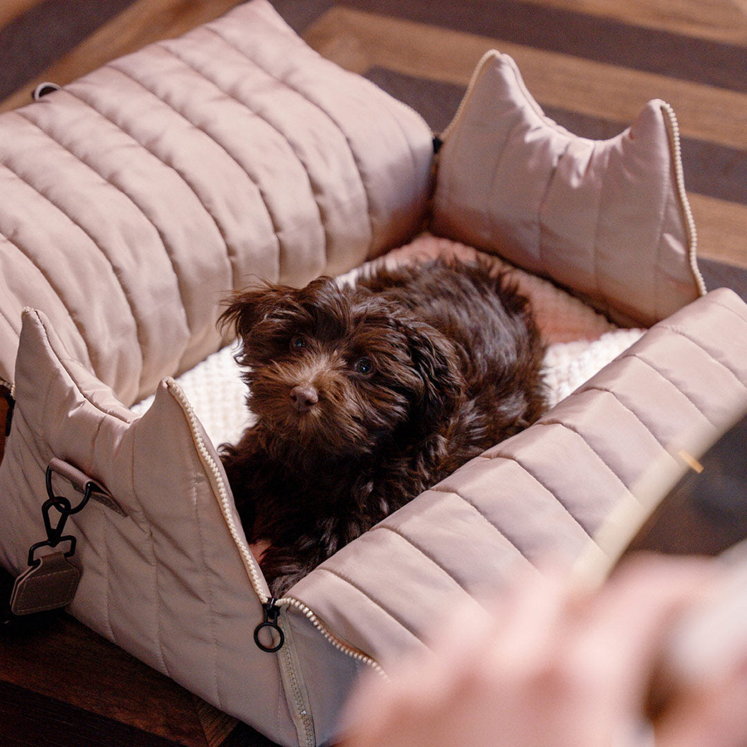 Reisen mit Hund: So wird jede Fahrt stressfrei für euch beide