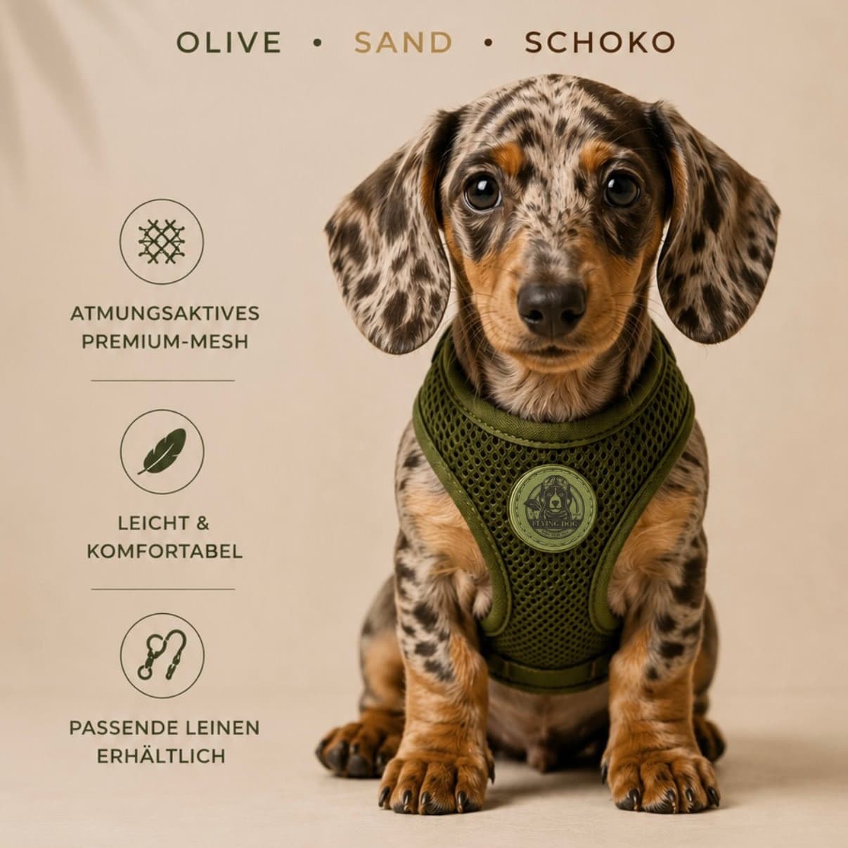 Hundegeschirr FORM – Premium Y-Geschirr