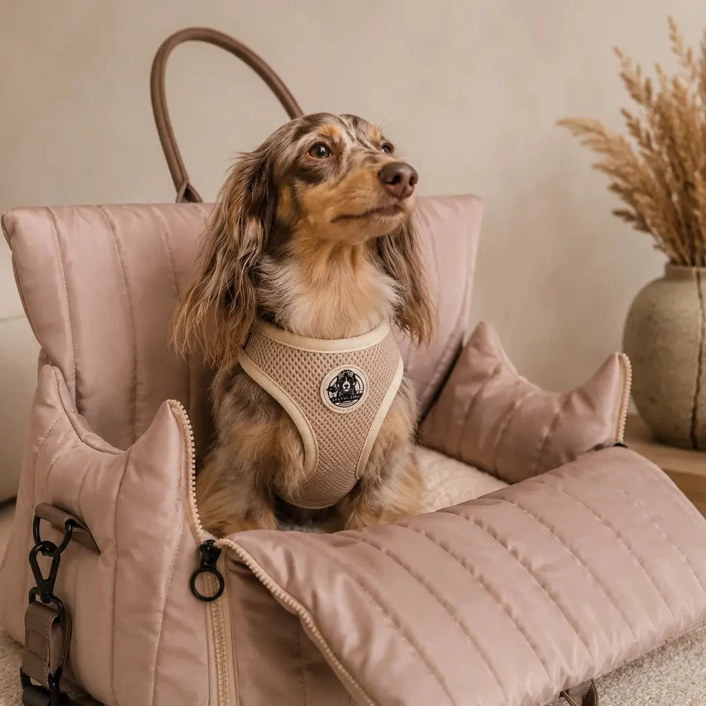 Hundetragetasche und Geschirr Set Flying Dog