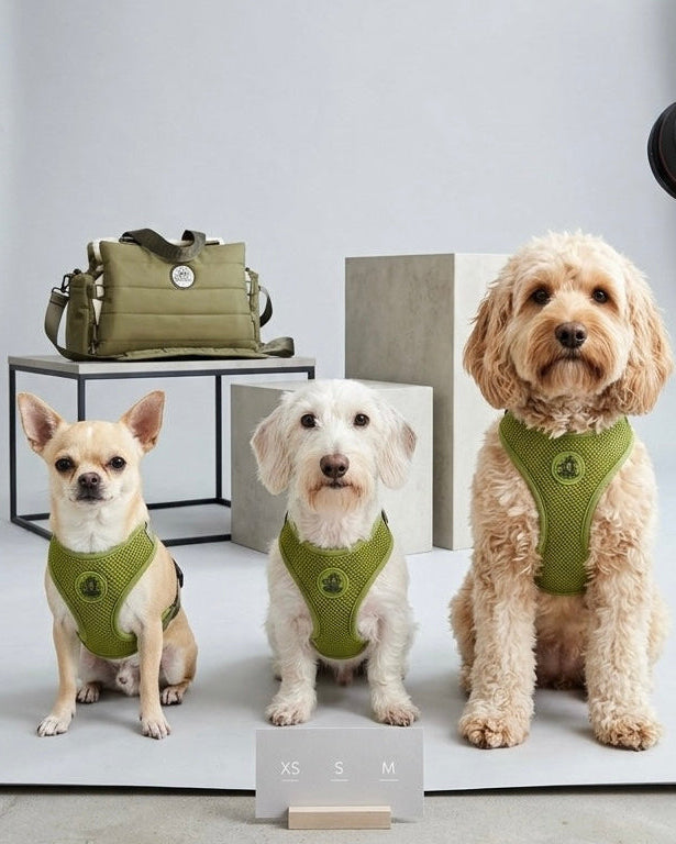 FLYING DOG FORM Hundegeschirr in Olive - XS, S, M