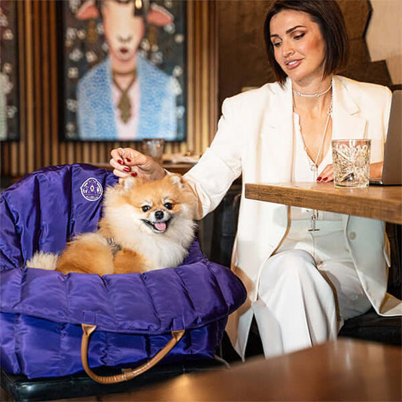 Orthopädisches Hundebett für Vierbeiner