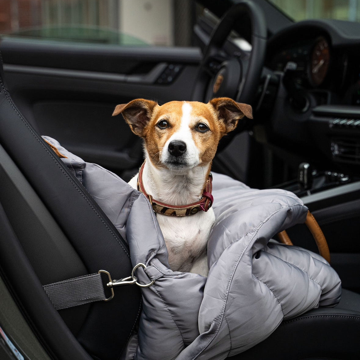 Baily Hundetragetasche, optimiert für orthopädischen Komfort und Reisen