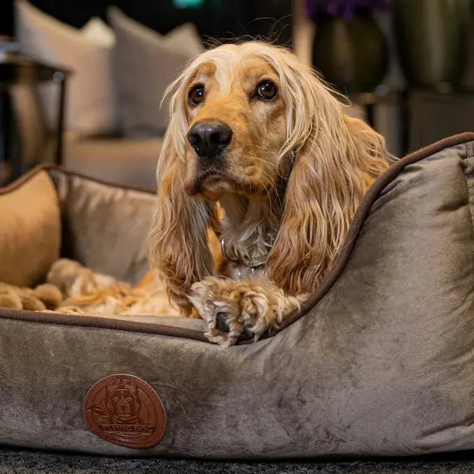Orthopädische Hundebett Henri Flying Dog