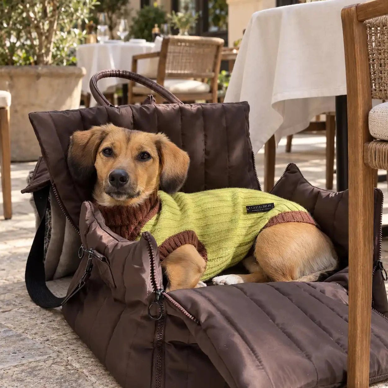 Flying Dog Hundetasche Hundepullover für kleine Hunde Luxus Hochwertig Premium