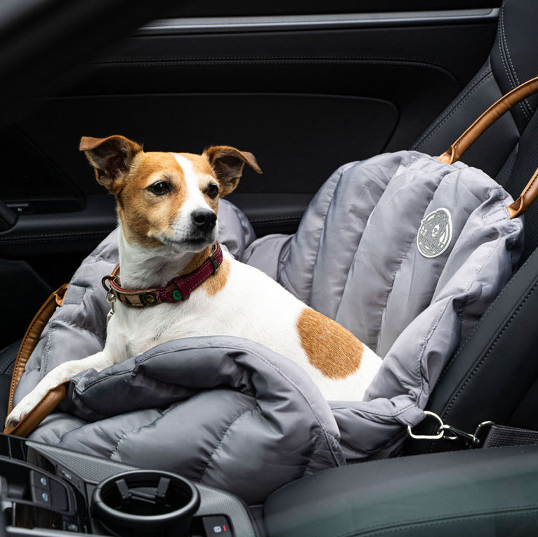 weiche Matratze, bequem und sicher unterwegs, für Hunde bis 12 kg