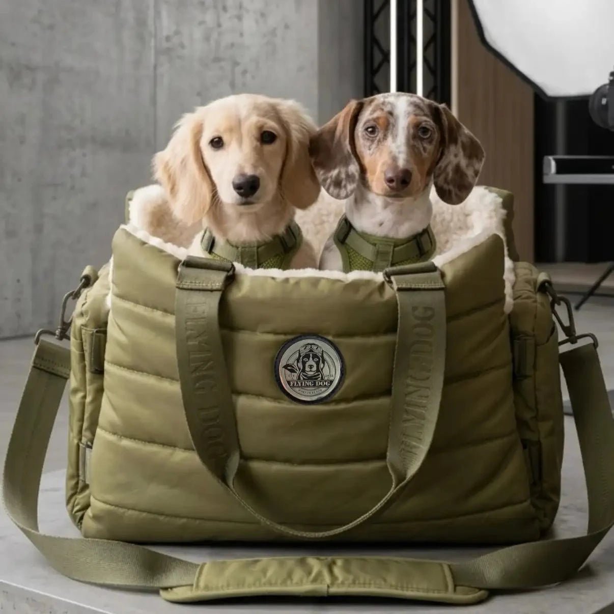 Hundetasche von Flying Dog zum mitnehmen Dackel 
