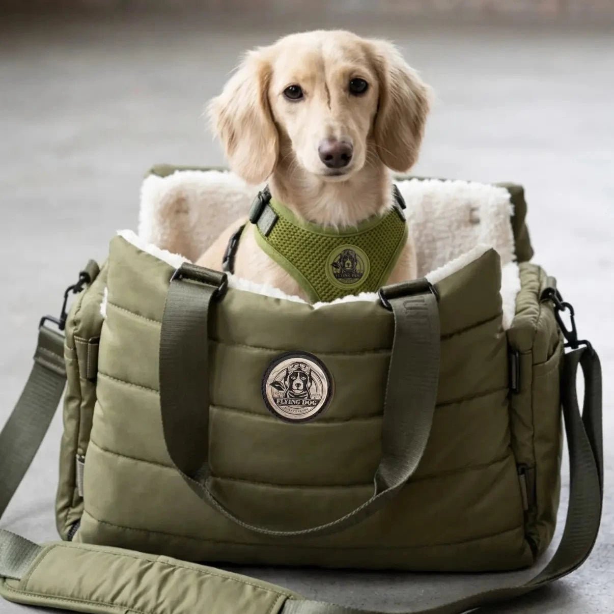 Hundetragetasche von Flying Dog Luxus gemütlich für alle kleine Hunde