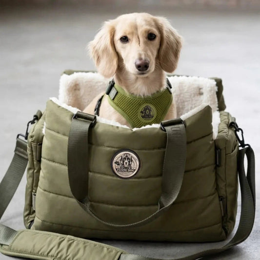 Hundetragetasche von Flying Dog Luxus gemütlich für alle kleine Hunde