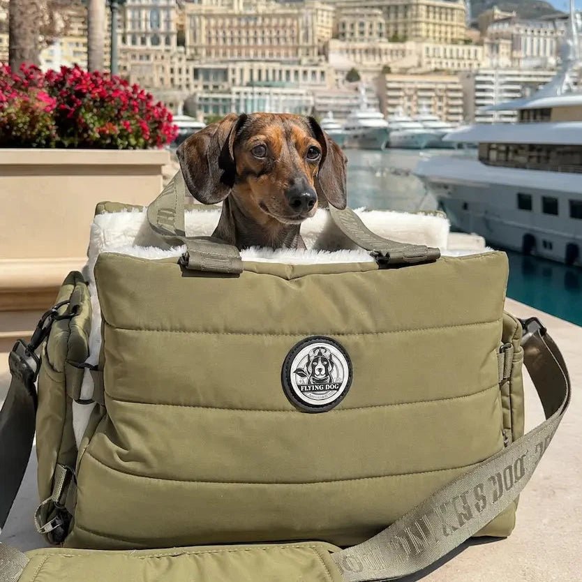 Hundetasche von Flying Dog Happy kleine und mittelgrosse Hunde