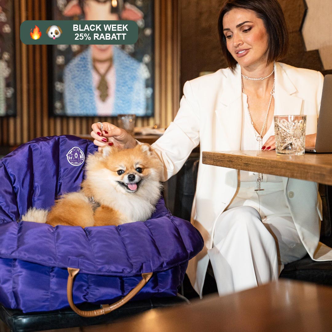 Hundetragetasche Jolie