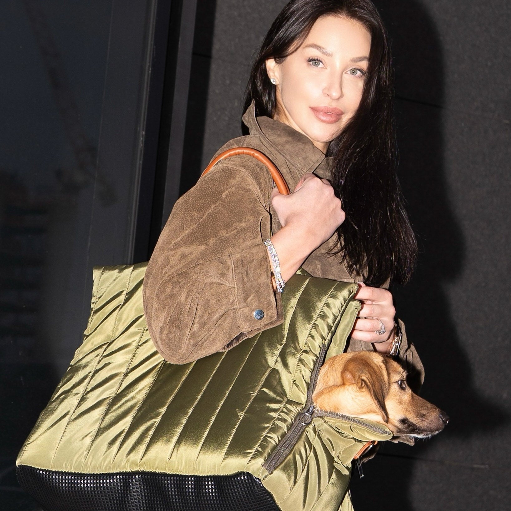 Hundetasche für Dackel, bequem, orthopädisch, modern für deinen Hund