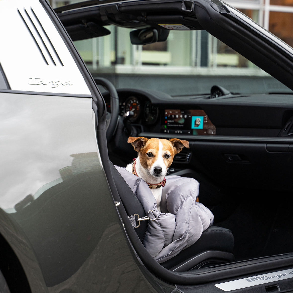 Baily Hundetragetasche für Hunde bis 12 Kg  kombiniert stilvolles Design mit orthopädischem Komfort