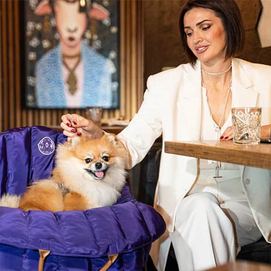 Hundetragetasche Jolie